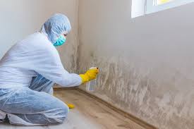 Best Industrial Mold Remediation in Woodbury, MN