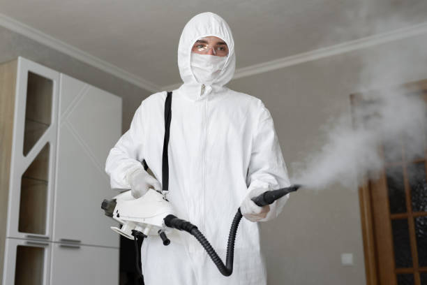 Best Environmental Consulting for Mold Prevention in Woodbury, MN